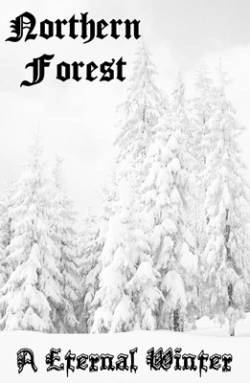 Northern Forest : A Eternal Winter